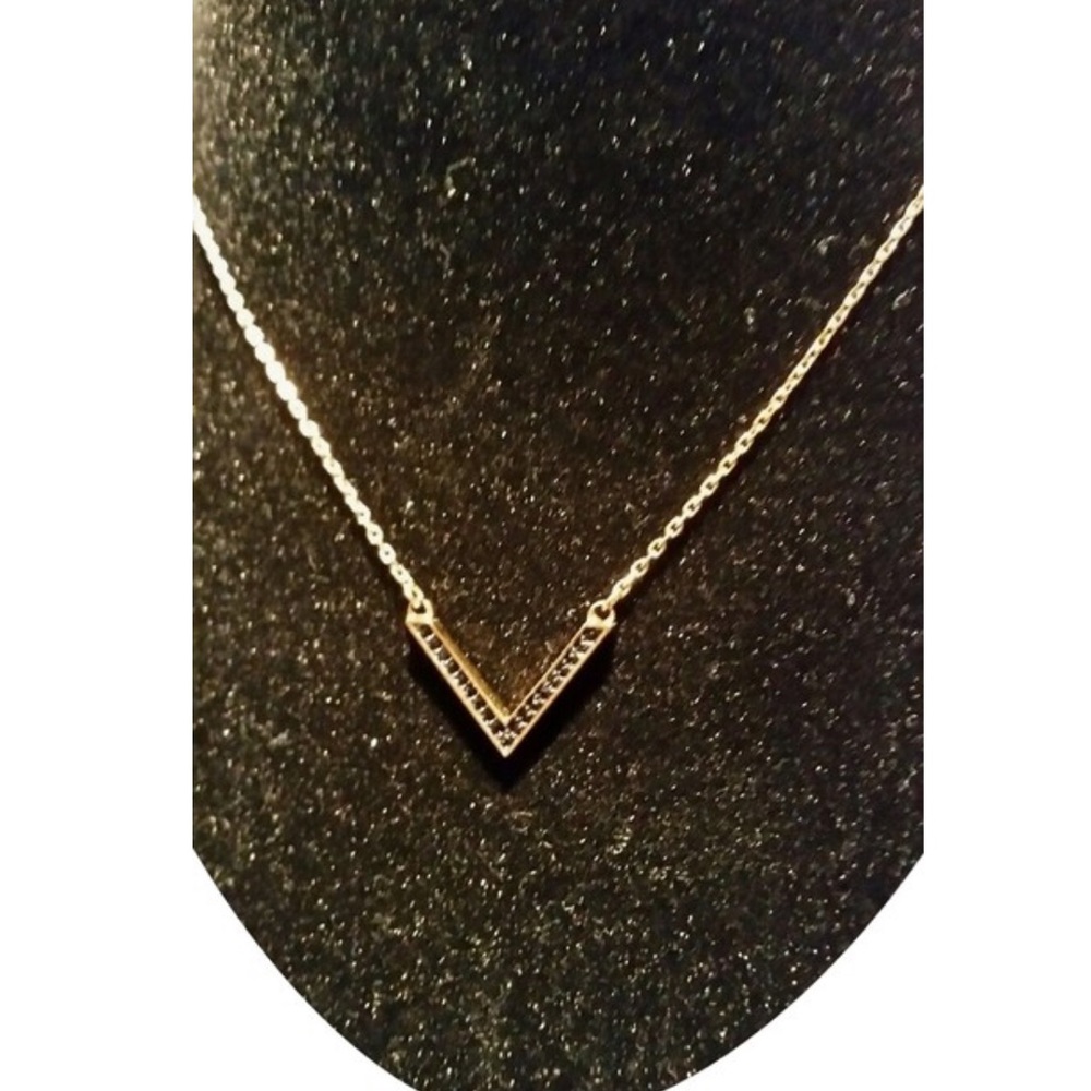 Michael Kors v necklace